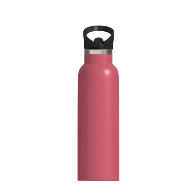 Stainless Steel Insulated Double Wall Vacuum Insulated Water Bottle Sports Custom Logo Vacuum Flask
