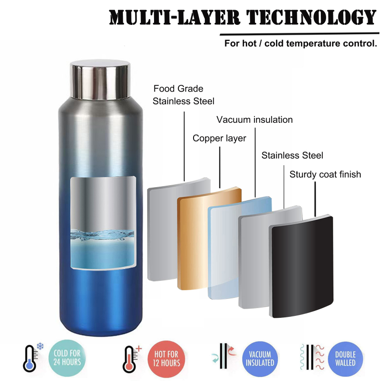 Custom BPA Free Leak Proof 600ml Sports Drink  Insulated  Water Bottle Stainless Steel With Custom Logo