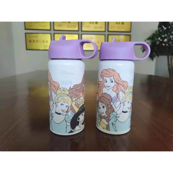 500ML Single Wall Stainless Steel Water Bottle for Kids