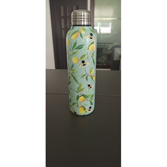 350ML/500ML double wall stainless steel water bottle
