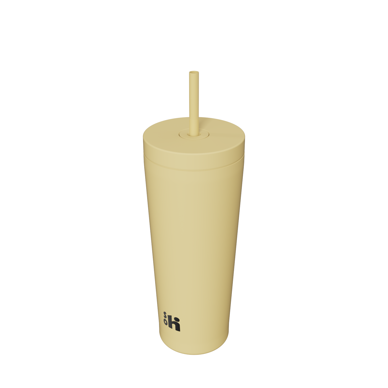 21OZ/620ML DOUBLE WALL STAINLESS STEEL STRAW TUMBLER