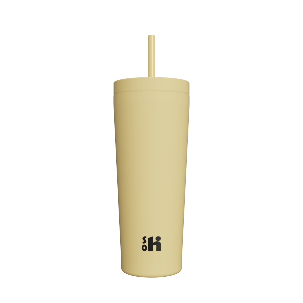 21OZ/620ML DOUBLE WALL STAINLESS STEEL STRAW TUMBLER