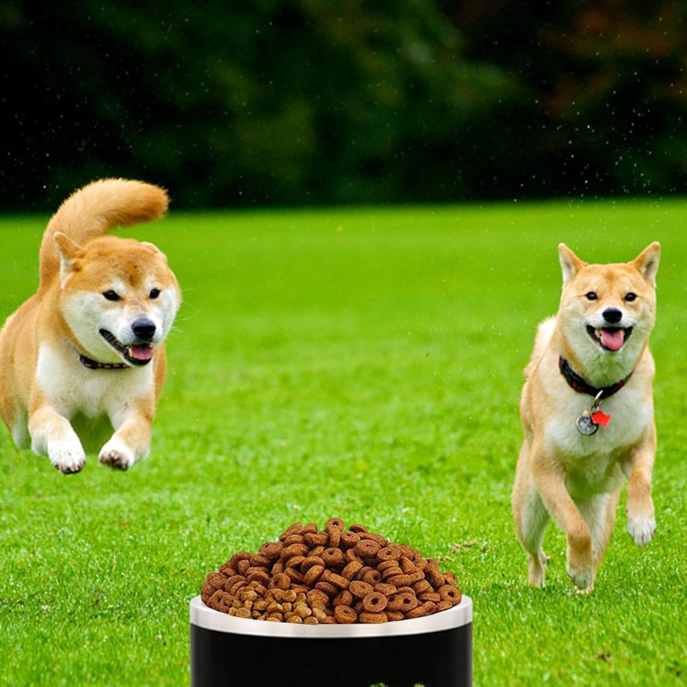 Credrink Gamelle isotherme extra large pour chien de 100 oz Gamelle lourde pour chien qui ne bouge pas Gamelle pour chien en métal 304 Gamelles antidérapantes pour chien Maintient le bol d'eau pour chien en place, Grandes gamelles en acier inoxydable pour chiens de grande taille