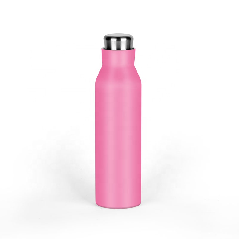Stainless Steel Bottle