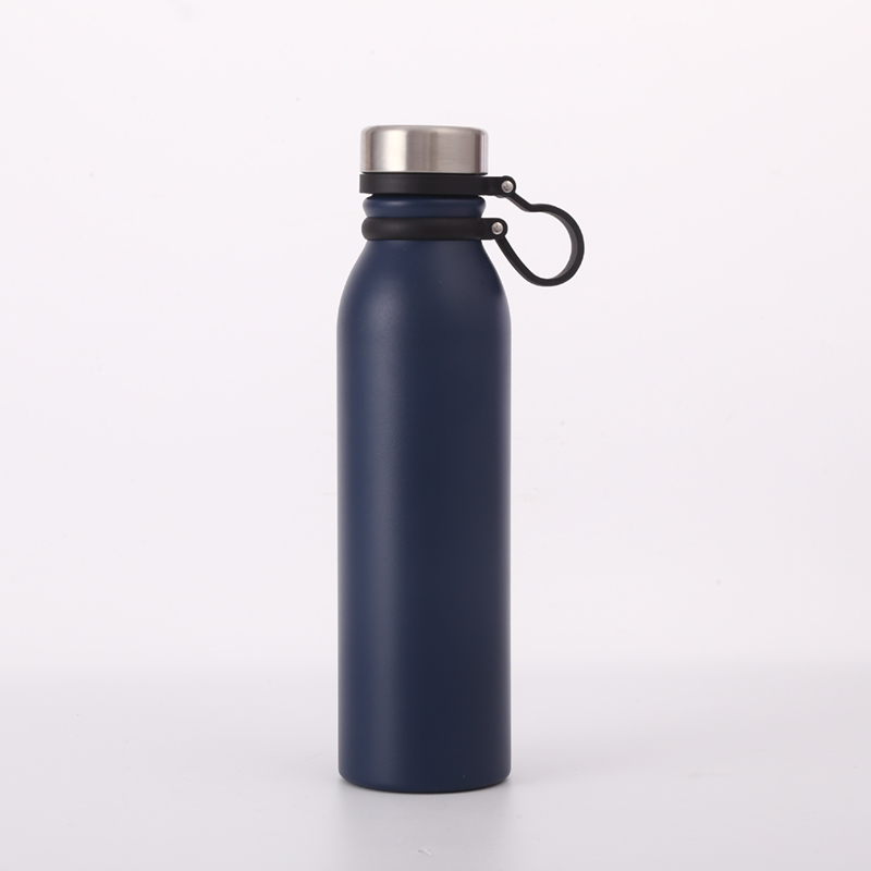 Custom Logo 600ml 700ml Stainless Steel Double Wall Vacuum Insulated Travel Sport Water Bottle With Silicone Handle