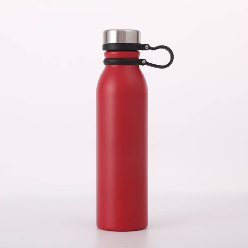 Custom Logo 600ml 700ml Stainless Steel Double Wall Vacuum Insulated Travel Sport Water Bottle With Silicone Handle
