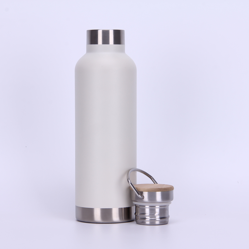 Powder Coating 750 ML Double Wall Vacuum Insulated Stainless Steel Sports Bottle Travel Water Bottle With Handle