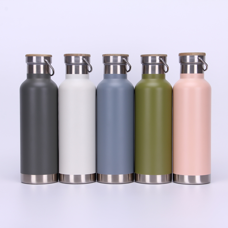 Powder Coating 750 ML Double Wall Vacuum Insulated Stainless Steel Sports Bottle Travel Water Bottle With Handle