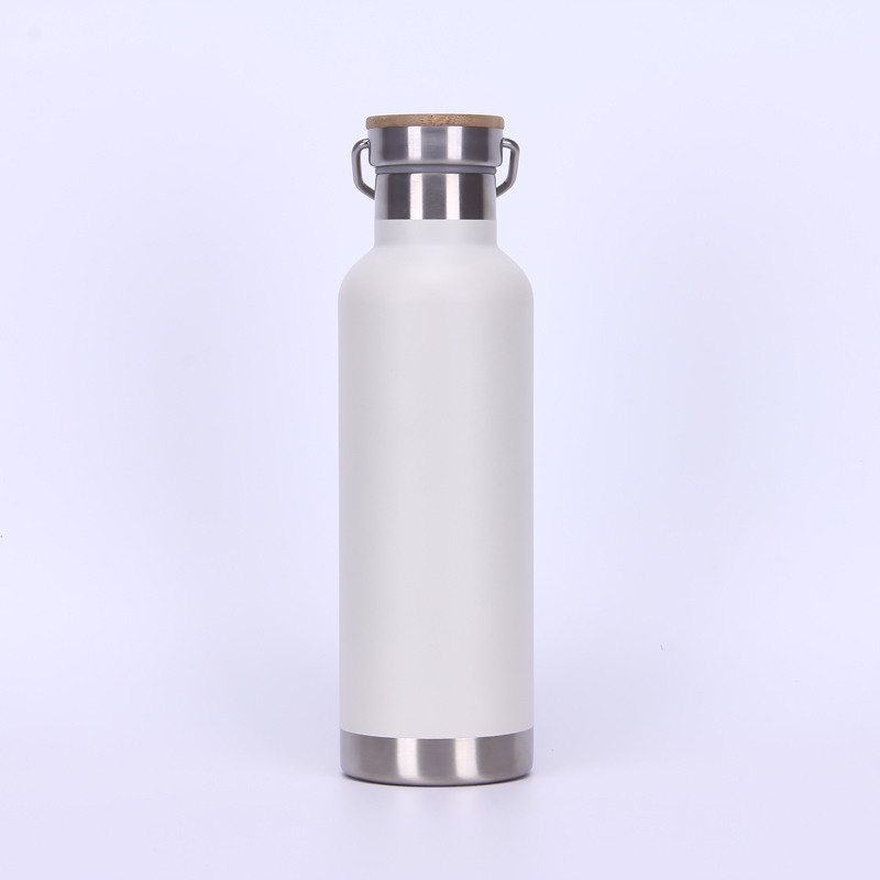 Powder Coating 750 ML Double Wall Vacuum Insulated Stainless Steel Sports Bottle Travel Water Bottle With Handle