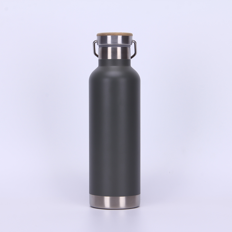 Powder Coating 750 ML Double Wall Vacuum Insulated Stainless Steel Sports Bottle Travel Water Bottle With Handle