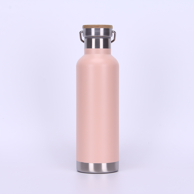 Powder Coating 750 ML Double Wall Vacuum Insulated Stainless Steel Sports Bottle Travel Water Bottle With Handle