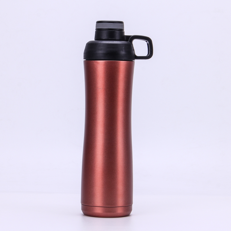 Large Capacity 750ml Double Wall Stainless Steel Vacuum Insulated Water Bottle Travel Bottle with Handle and Lid