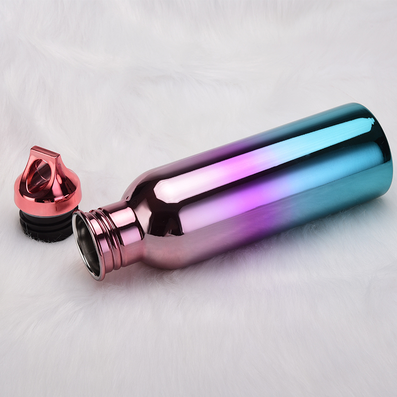 Hot Seller New Arrivals Single Wall Stainless Steel Promotional 750 ml Back to School Popular Water Bottle in Bulk
