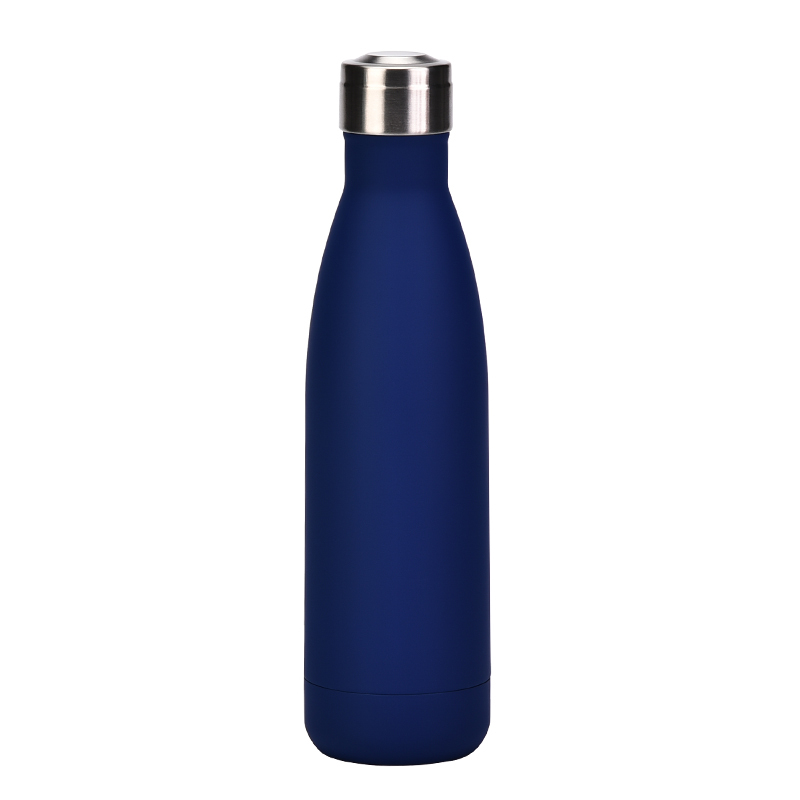 Custom Eco Logo Insulated Stainless Steel Water Bottle Double Wall Metal 500ml Capacity for Colored Drinks