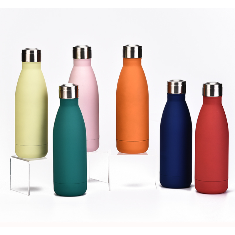 Custom Eco Logo Insulated Stainless Steel Water Bottle Double Wall Metal 500ml Capacity for Colored Drinks