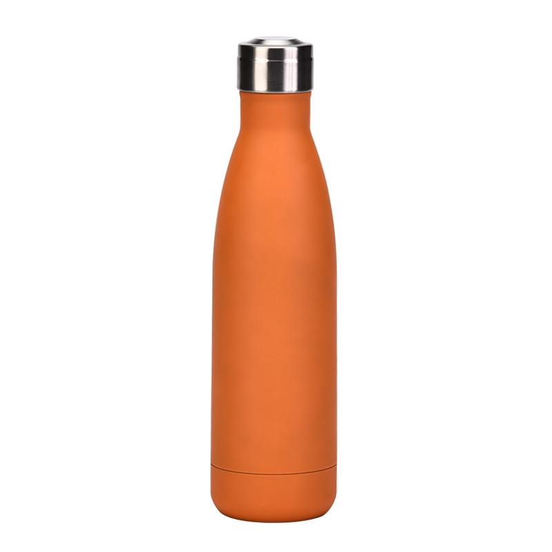 Custom Eco Logo Insulated Stainless Steel Water Bottle Double Wall Metal 500ml Capacity for Colored Drinks