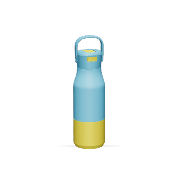 New Design 304 stainless steel  650ML Sport bottle with bounce lid Handle business office
