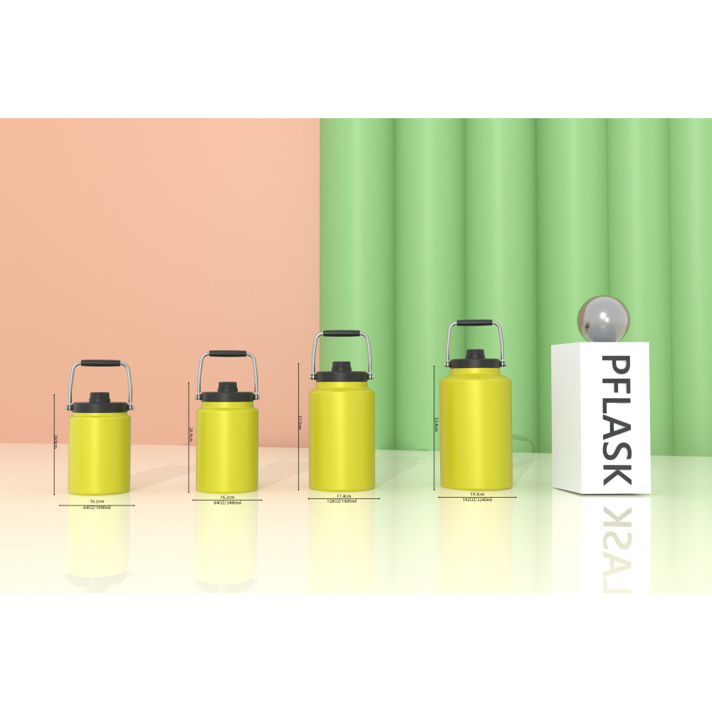 6120ml/207OZ double wall insulated beer growler with steel handle & spout lid CW005