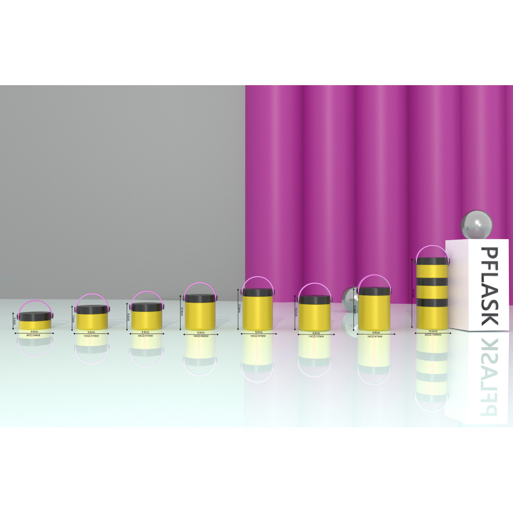 470ml/16OZ double wall insulated food container with handle lid F007