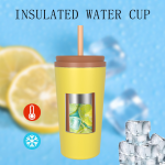 Gobelet isotherme à double paroi de 520 ml/18 oz avec couvercle à paille T002