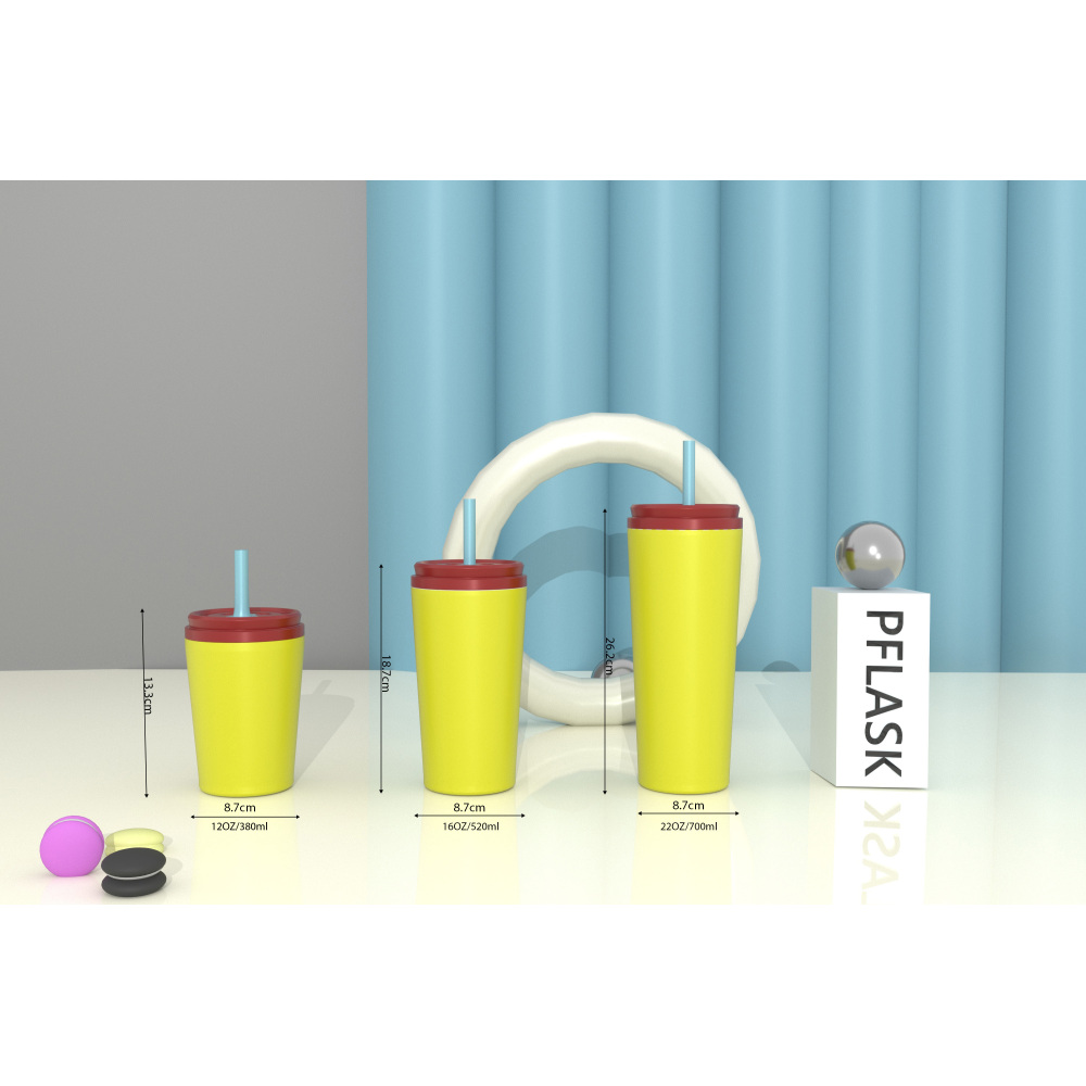 520ml/18OZ double wall insulated tumbler with straw lid T002