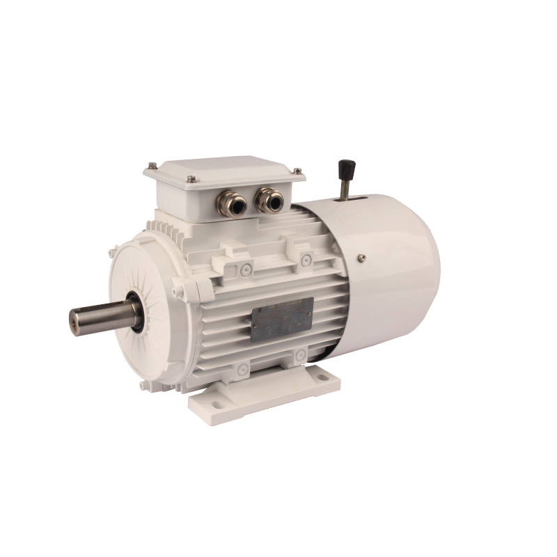 FLAJ/FLFJ/FLGJ series electromagnetic braking three phase asynchronous AC motor