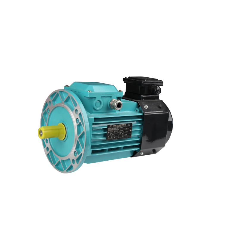 FLAV/FLFV/FLGV series variable frequency three phase asynchronous AC motor