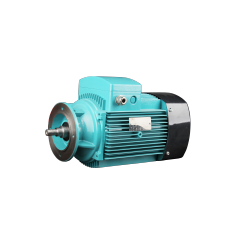 FLZ series three phase asynchronous AC motor for gear box