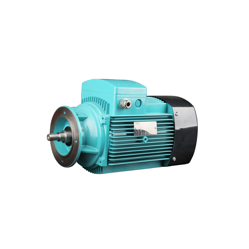 FLZ series three phase asynchronous AC motor for gear box