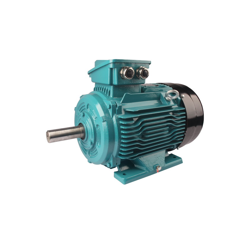 FL(IE1) series premium efficiency three phase asynchronous motor