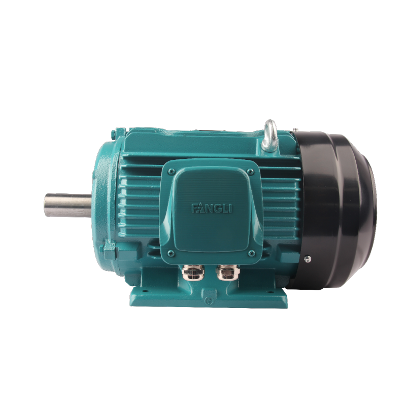 FLDT series change-pole multi-speed three phase asynchronous AC motor