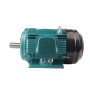 FLDT series change-pole multi-speed three phase asynchronous AC motor