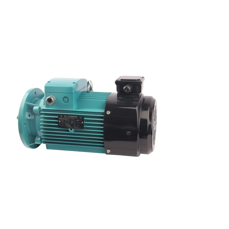 FLAV/FLFV/FLGV series variable frequency three phase asynchronous AC motor