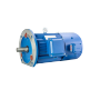 FLAV/FLFV/FLGV series variable frequency three phase asynchronous AC motor