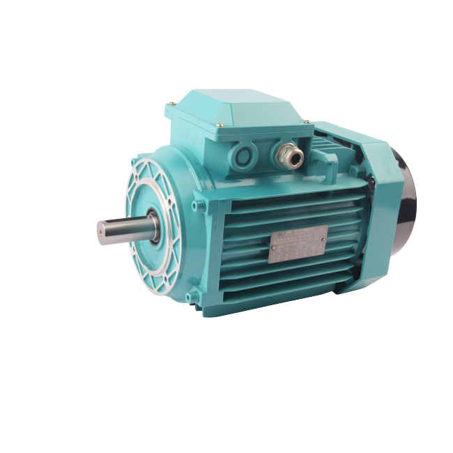 FLA2/FLF2/FLG2 series premium efficiency three phase asynchronous AC motor