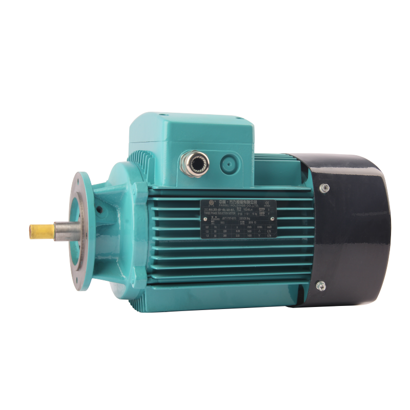 FLZ series three phase asynchronous AC motor for gear box