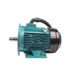 FPM/FYPM series permanent magnet synchronous AC motor