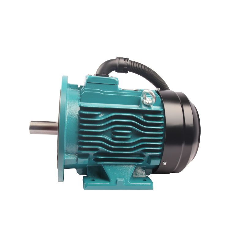 FPM/FYPM series permanent magnet synchronous AC motor
