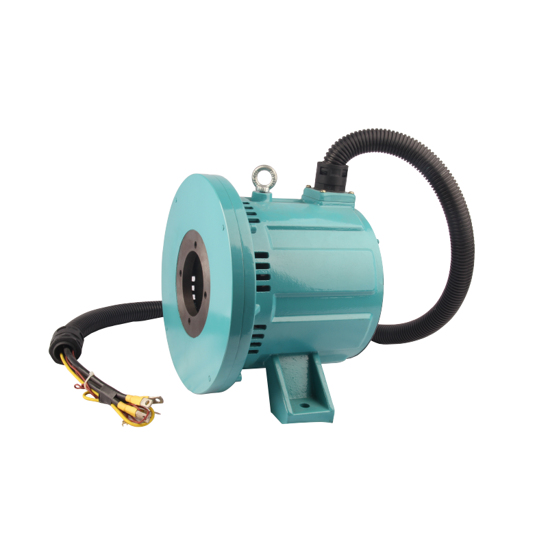 FPM/FYPM series permanent magnet synchronous AC motor