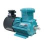 YBBP series variable frequency flameproof three phase asynchronous AC motor