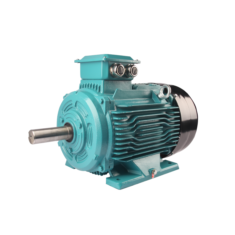 FL3(IE3) series premium efficiency three phase asynchronous AC motor