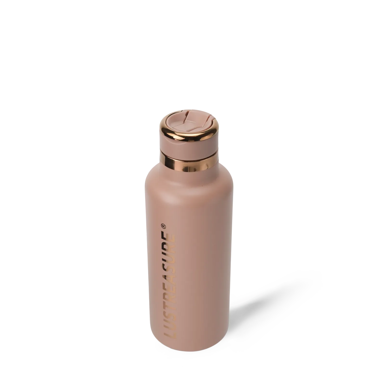 600ml/20oz Vacuum Insulated Stainless Steel Straw Bottle 