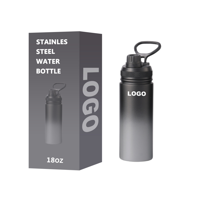 18oz BPA-Free Stainless Steel Kids Water Bottle with Straw Cute Children's School Drink Vacuum Type