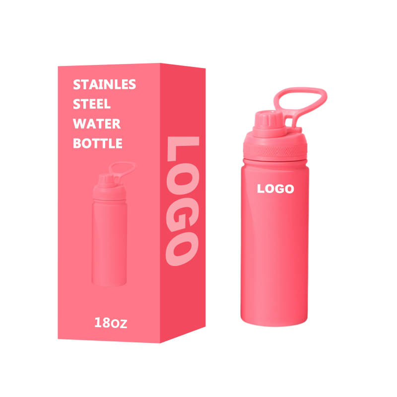 18oz BPA-Free Stainless Steel Kids Water Bottle with Straw Cute Children's School Drink Vacuum Type