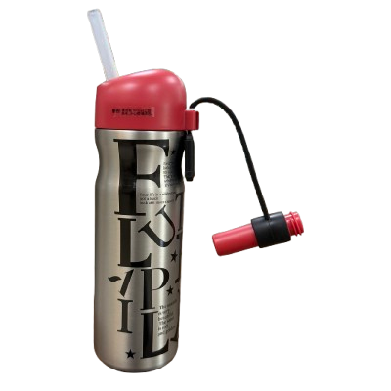 stainless steel bottle with spout straw 860