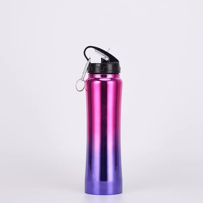 Stainless Steel Vacuum Insulated Water Bottle 500ml with Straw
