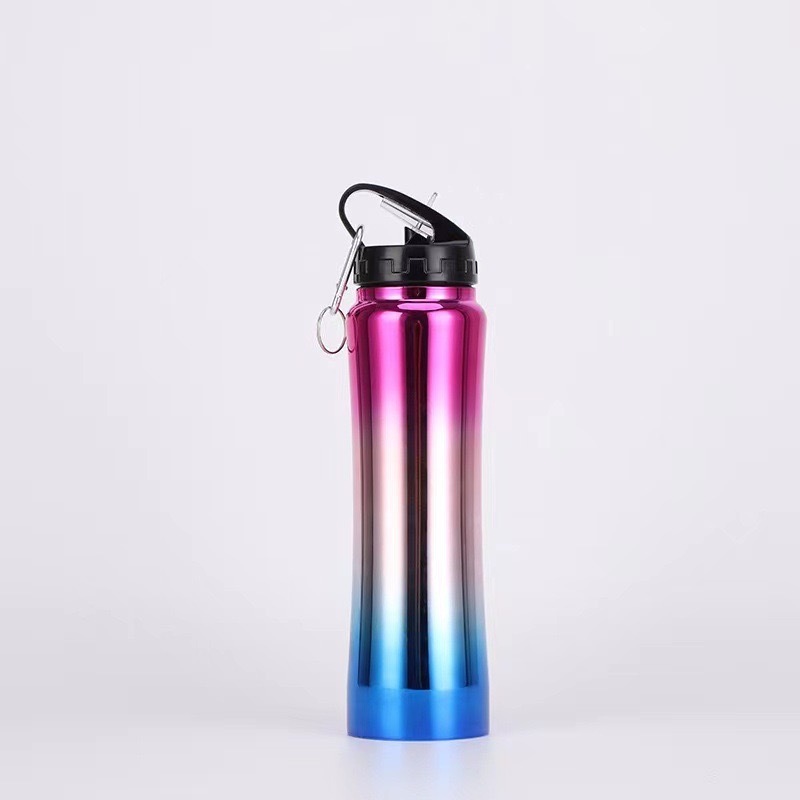 Stainless Steel Vacuum Insulated Water Bottle 500ml with Straw