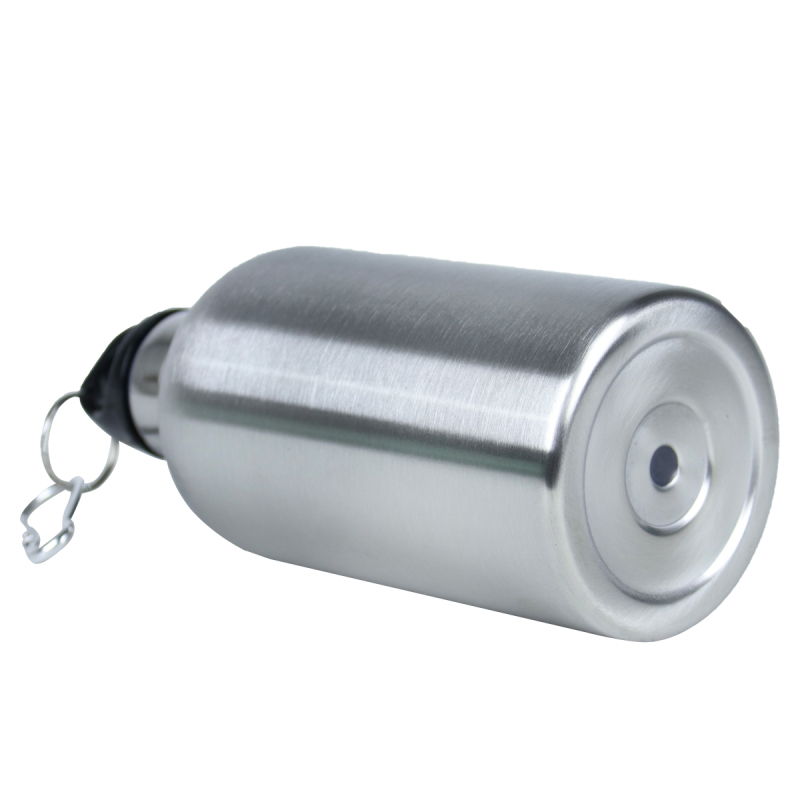 Insulated Stainless Steel Water Bottle 350/500ml with Carabiner