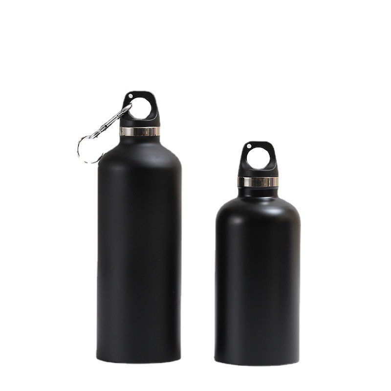 Insulated Stainless Steel Water Bottle 350/500ml with Carabiner