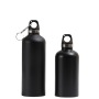 Vacuum Insulated Sports Water Bottle 350-650ml with Carabiner